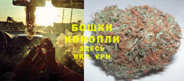 мдпв Козельск