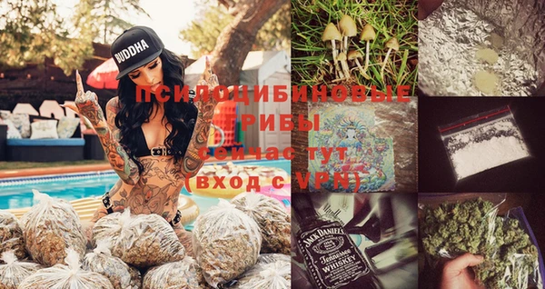 мдпв Козельск